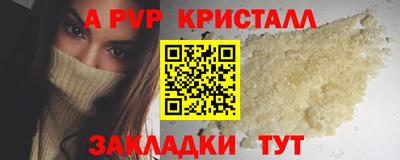 гашик Гатчина