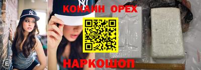 гашик Гатчина