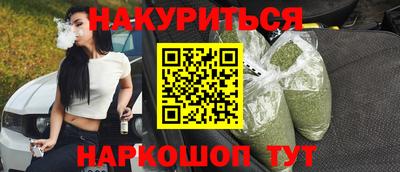 гашик Гатчина