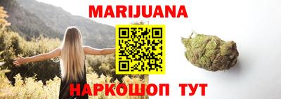гашик Гатчина