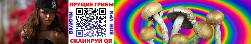 Галлюциногенные грибы MAGIC MUSHROOMS  omg ссылки  Еманжелинск 