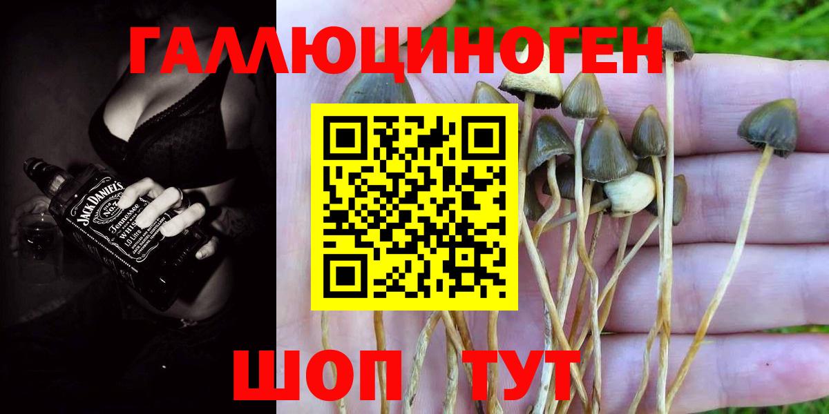 наркотики  Галлюциногенные грибы прущие грибы  Вход с VPN  Еманжелинск 